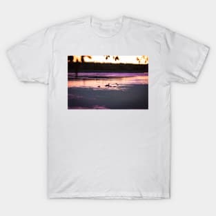 Ducks at dusk in a marsh T-Shirt